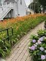353 Boston Post Road - Photo 9