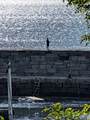 12 Andrews Street - Photo 42