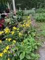 32 Woodchuck Hollow - Photo 13