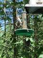 32 Woodchuck Hollow - Photo 18