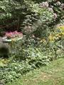 32 Woodchuck Hollow - Photo 23