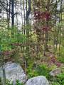 32 Woodchuck Hollow - Photo 31