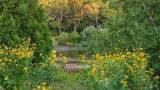 46 Roos Road - Photo 11