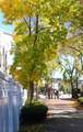 2440 Massachusetts Ave - Photo 20