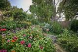 17 Elmira - Photo 22