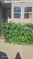 4 Plum St - Photo 29