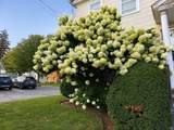 57 Pleasant St. - Photo 17