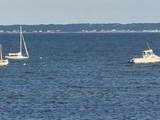 39 Cove Street - Photo 3