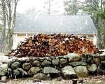 5 Roberts Ct - Photo 38