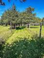 7 Parsonage Woods Road - Photo 15
