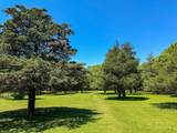 7 Parsonage Woods Road - Photo 4