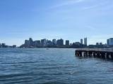 99 Sumner Street - Photo 4