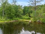 24 White Mountain Highway - Photo 38