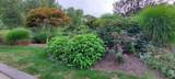 5 Victoria Drive - Photo 31