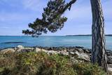 136 Bay View Ave - Photo 32