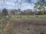 1789 Broadway - Photo 20