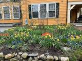 15 Traill Street - Photo 33