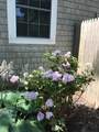 166 Seaview Avenue - Photo 38