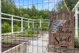 64 Pine Tree Dr - Photo 38