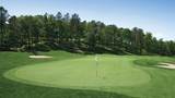 15 Broadleaf - Photo 15