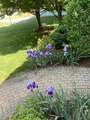 11 Longmeadow Way - Photo 24