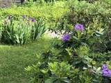 23 Germain St - Photo 39