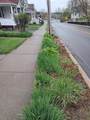 9 Montgomery Street - Photo 23