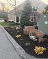 10 White Cedar Drive - Photo 41