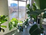 33 Pond Ave. - Photo 5
