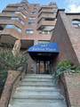 147 Kelton - Photo 8
