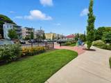 21 Dowse St - Photo 12
