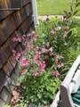 84 Chester Rd - Photo 6
