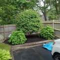 47 Ellisville Dr - Photo 4
