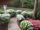 77 Gold Leaf Ln - Photo 3