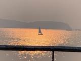 36 Sunset Ave- - Photo 8