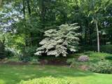 55 Longfellow Road - Photo 34