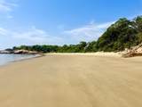 239 Summer - Photo 10