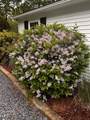 25 Frances Helen Rd - Photo 35