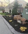10 White Cedar Drive - Photo 41