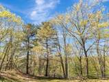 2102 Lewis O Gray Dr - Photo 38