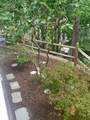 62 South Street - Photo 31