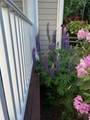 62 South Street - Photo 32