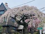 84 Garden St - Photo 10