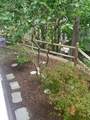 62 South Street - Photo 31