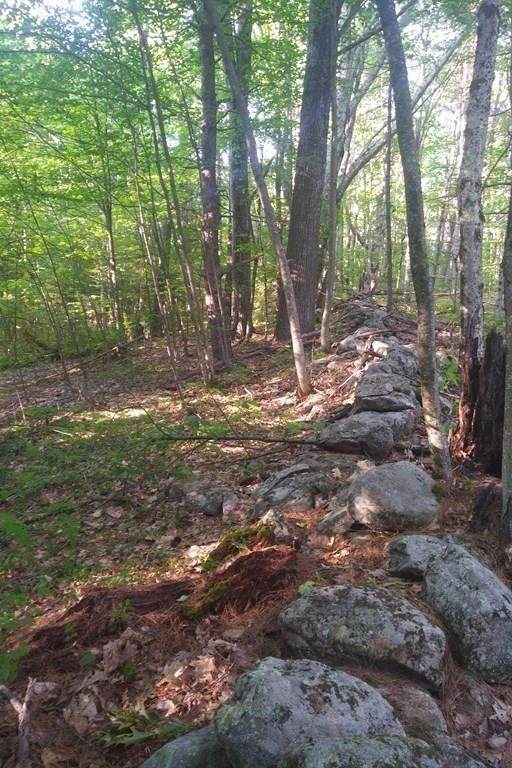 Lot 5 Forest Dr - Photo 1