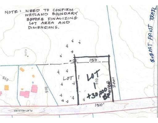 Lot 1 Flat Hills Road - Photo 1