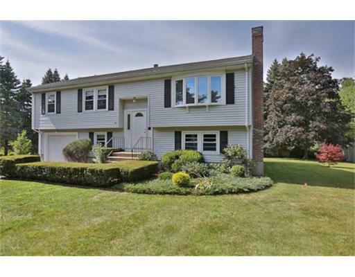 16 Freeport Dr, Wilmington, MA 01887 (MLS #71420832) :: Exit Realty