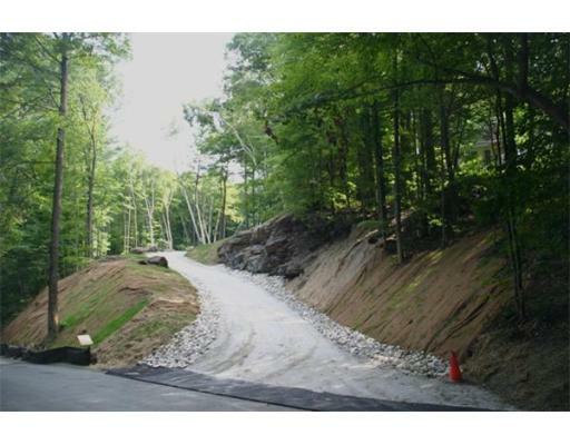 Lot 7 West Dugway - Photo 1