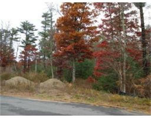 7 Donna Rd - Photo 1