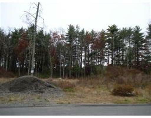 14 Donna Rd - Photo 1